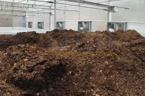 臭氣熏天“牛糞村”的蛻變：畜糞變身有機肥，成為種植戶的香餑餑