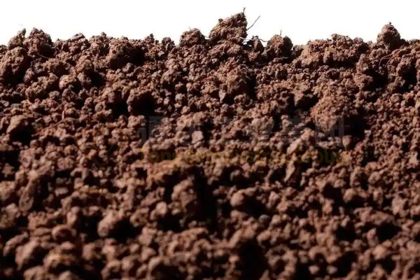 蚯蚓養(yǎng)殖與秸稈牛糞廢棄物綜合利用，制成高效蚯蚓糞有機(jī)肥，助力鄉(xiāng)村振興建設(shè)